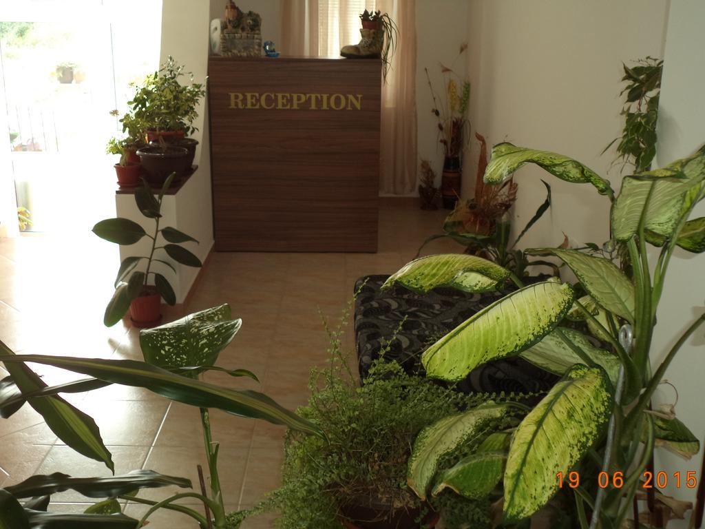 Sveti Georgi Guest House Sozopol Ngoại thất bức ảnh